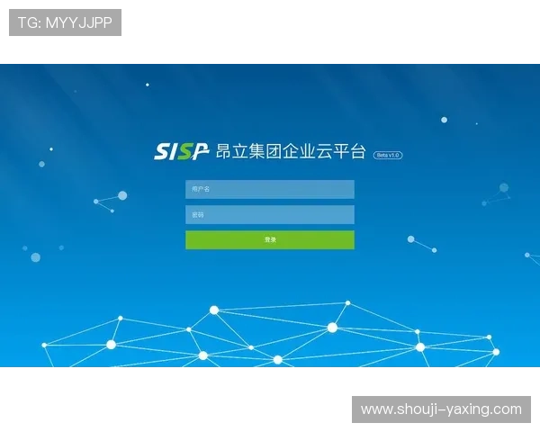 开云网页版登录安全性提升措施及登录环境优化建议提供给用户