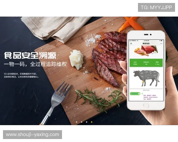 开云注册平台安全注册流程详细解析保障账号信息安全的最佳实践