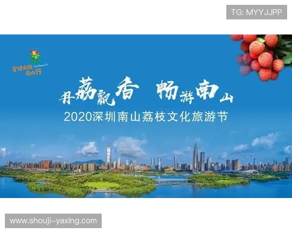 探索开云网站的功能与特色，打造高端奢华购物体验新高度