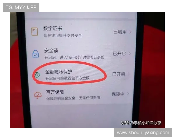 亚星官方在线登录入口安全保障措施，保障用户信息安全与账号安全