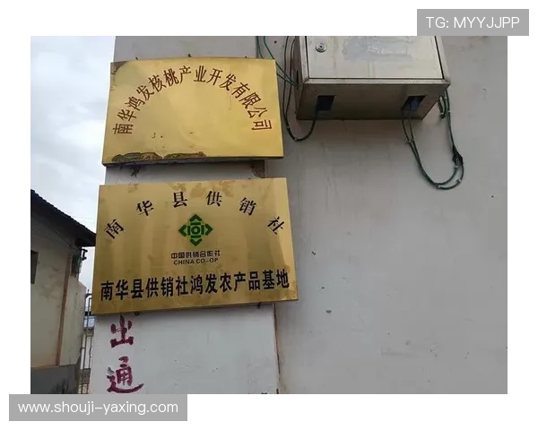 亚星官网111产品展示与介绍全面覆盖公司核心产品与技术优势