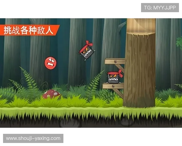 亚星游戏入口网址2024年最新版本，快速登录畅享精彩游戏内容