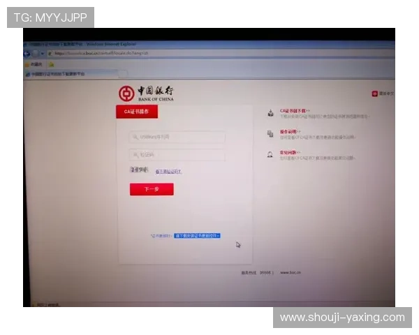 亚星网址登录流程详解，轻松掌握登录操作步骤