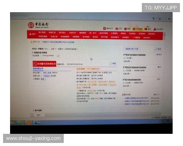 亚星会员登录官方入口安全登录流程及账号保护措施介绍 亚星会员登录官方入口安全登录流程及账号保护措施介绍