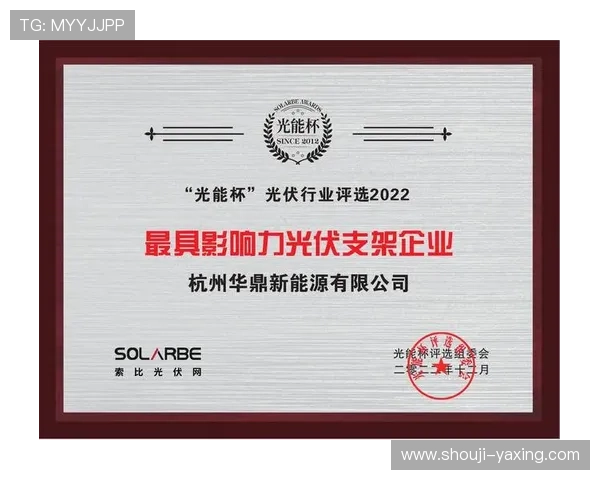 亚星集团有限公司的行业影响力与领导地位分析为行业提供权威参考与借鉴经验